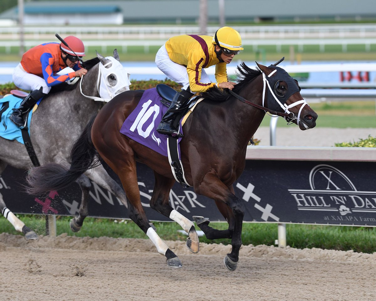 GulfstreamPark's tweet image. First starter Cardinale gets up in time to win race 8, @zayas_edgardo in the irons, @PletcherRacing trains for @StonestreetFarm. #GulfstreamPark #SunshineMeet