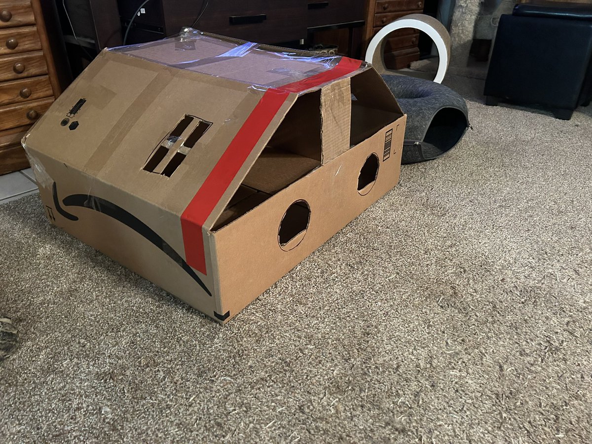 cheshirequeen4's tweet photo. Use 1 of millions for an @amazon box. A stylish and large cat house with window cut outs. What is your use for an #amazonbox #amazon #box #cats https://t.co/9cwcpBIt0h