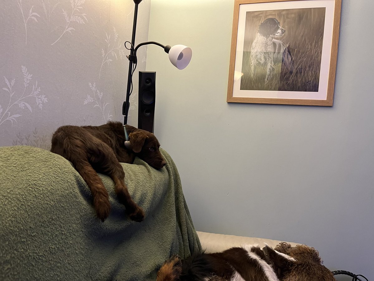 Waiting for Hoodaddy to come home!!!