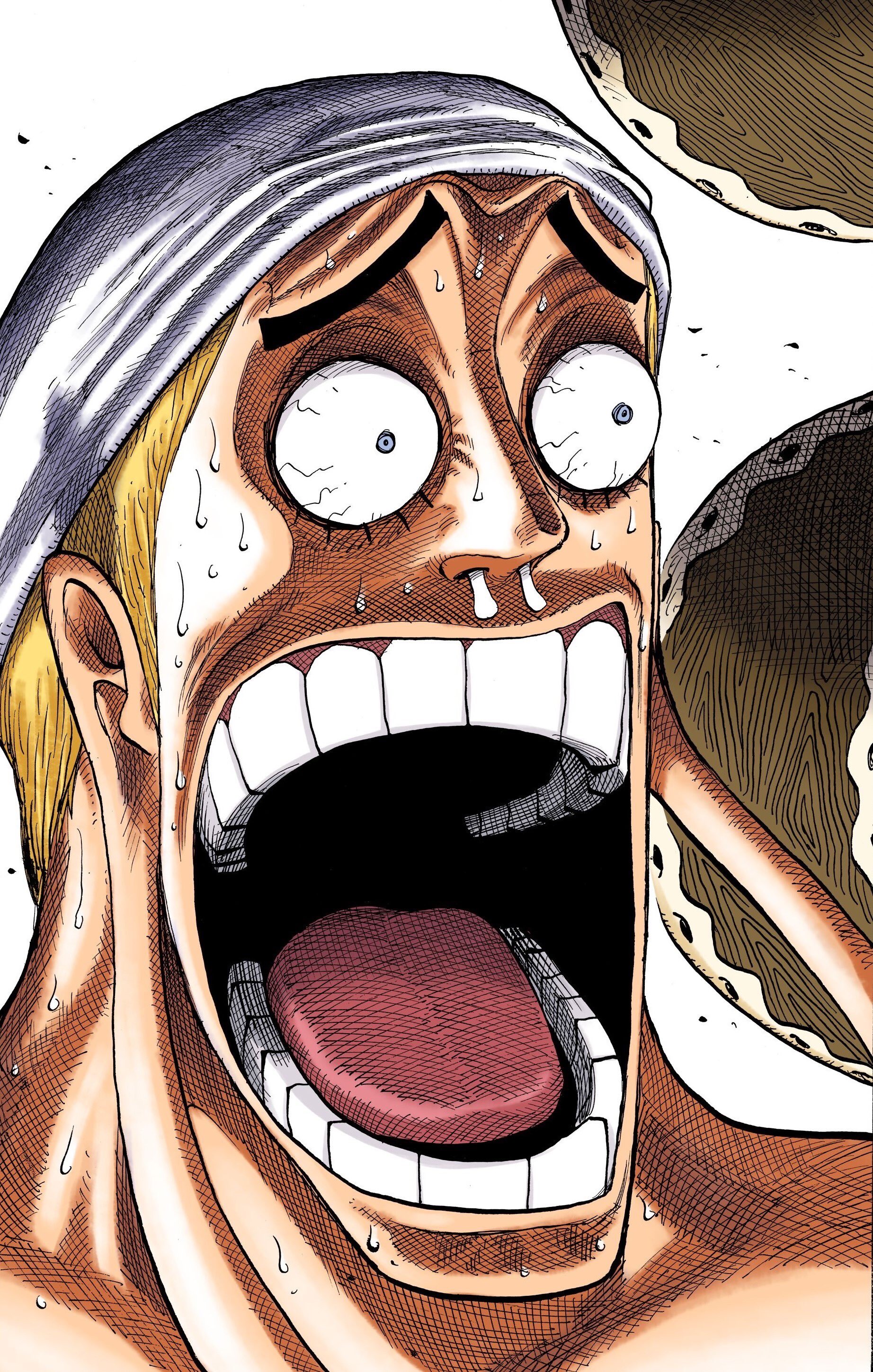 ONE PIECE スタッフ【公式】/ Official on X: "🎞️アニメ全話が ...