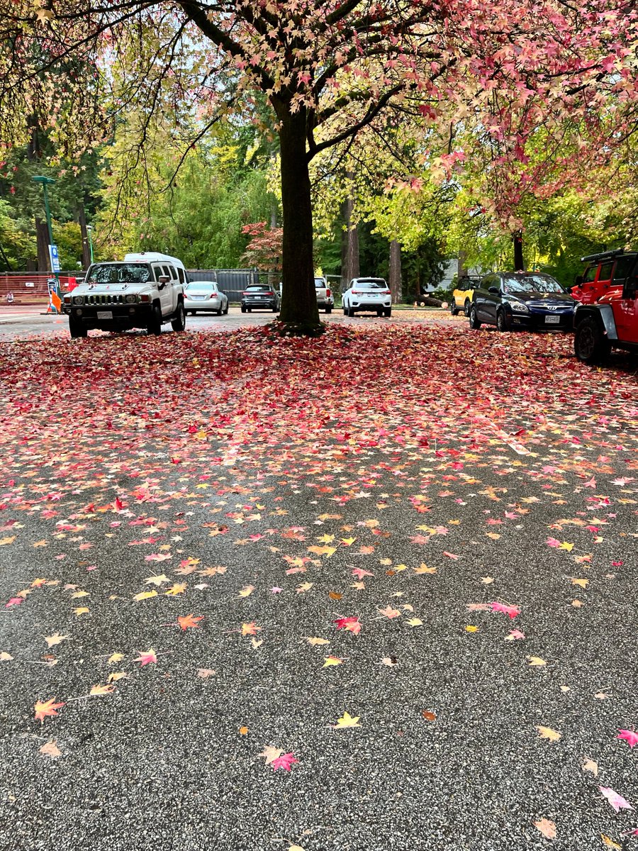 dphillips3321's tweet photo. "Preach by example of your lives rather than by words. Example is the very best sermon." St. Rose Philippine Duchesne. The trees do it every season-the colours talk. https://t.co/ElawyCSdko