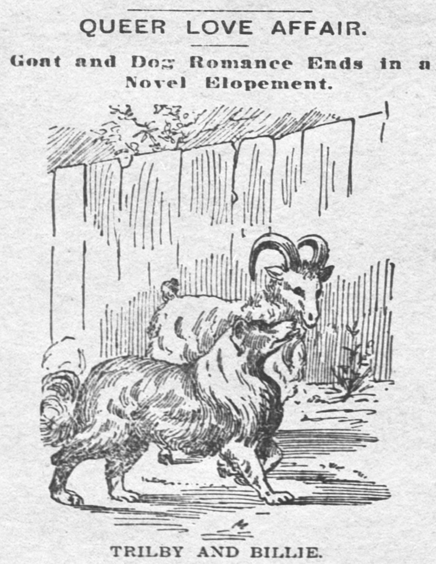 The Coffeyville Daily Journal, Kansas, May 17, 1897