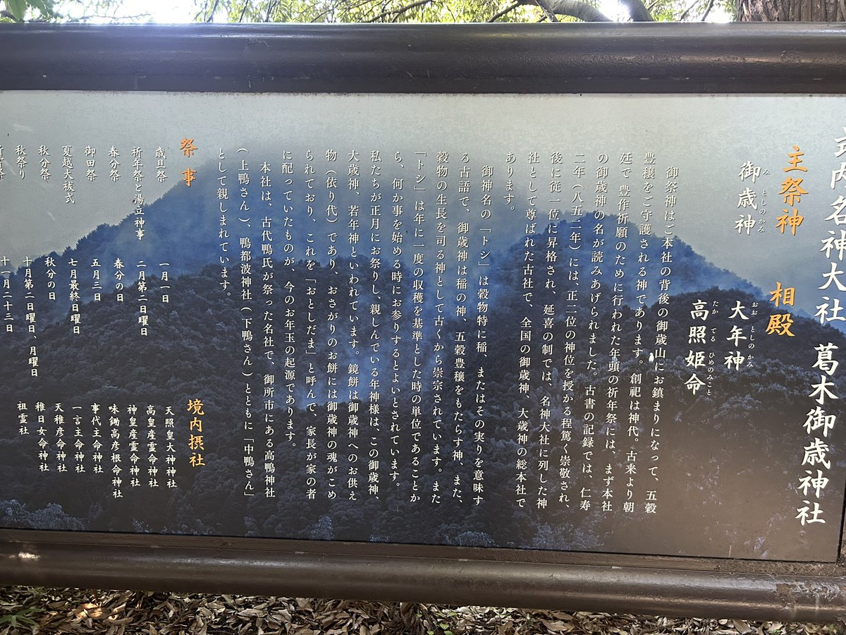 漫画『りりす』
1614年大坂の陣を舞台にした漫画ですが、
主人公りりすの一族を古代から追っています🌟
現地散策も戦国時代関連以外の
寺社を巡ります🌟
今年4月には出雲にも遠征
東北や九州も巡りたいですね
漫画りりす無料公開🆓
https://t.co/7zk4qyfphW
#大坂の陣 #漫画がよめるハッシュタグ