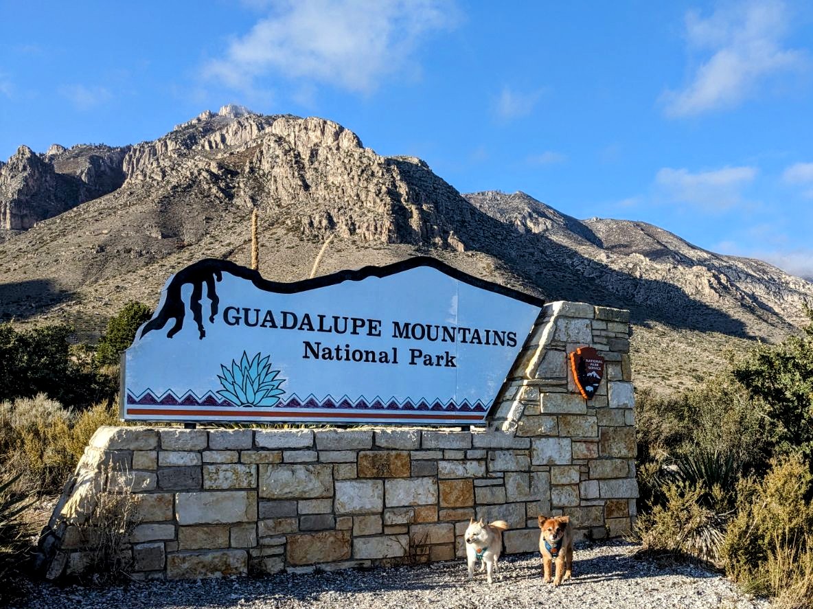 them2dogs's tweet photo. Another few parks in the books! Can't actually go in the caverns 🦇🦇🦇 but still stopped at the sign 📸 #carlsbadcaverns #guadalupemountains #dogswhotravel #dogswhohike https://t.co/IHHpR60rTt