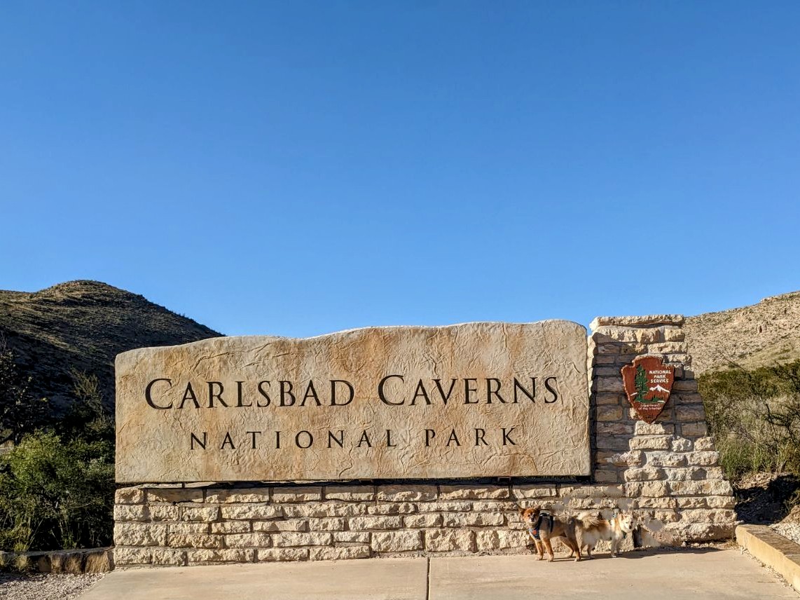 them2dogs's tweet photo. Another few parks in the books! Can't actually go in the caverns 🦇🦇🦇 but still stopped at the sign 📸 #carlsbadcaverns #guadalupemountains #dogswhotravel #dogswhohike https://t.co/IHHpR60rTt