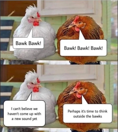 kimkomando's tweet photo. 🐔😆 Stuck in the same old routine? Even these chickens know it might be time to think outside the "bawks"! Let's shake things up today. What's one thing you'll do differently? #ChangeItUp #ChickenWisdom #FunOnTheFarm https://t.co/1JrGo9aZQT