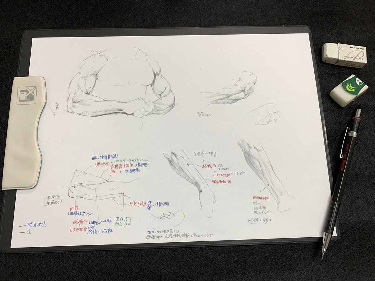 itako_s's tweet photo. マッチョ(竿役)描きの楽しい筋肉お勉強

特に前腕は複雑すぎて定期的に復習しないとどんどんあやふやになってしまいます
回内回外・肘手首の屈伸はもちろん、指一本曲げ伸ばししただけでも結構表情変わるのが
本っ当に大変で楽しい… https://t.co/UvDkpRdNUQ