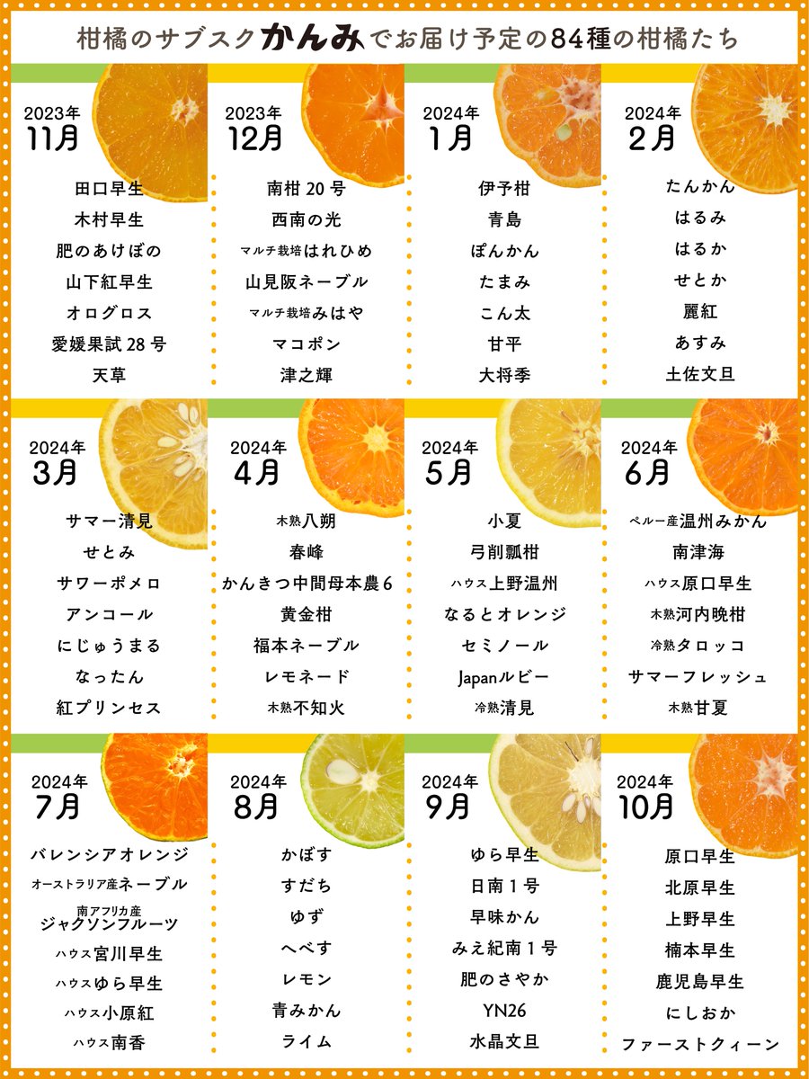 みかん様　5点おまとめ専用ページ 000000000532-02-l.jpg?t=