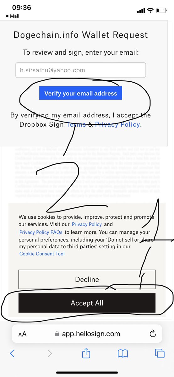Hải Hoàng tweet media