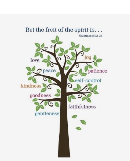 The Holy Spirit
produces this kind of fruit
in our lives:🍇
love, joy, peace, patience, kindness, goodness, faithfulness, gentleness, and self-control.
There is no law against these things!
#MakeMeMoreLikeYouJesus 
#FruitOfTheSpirit