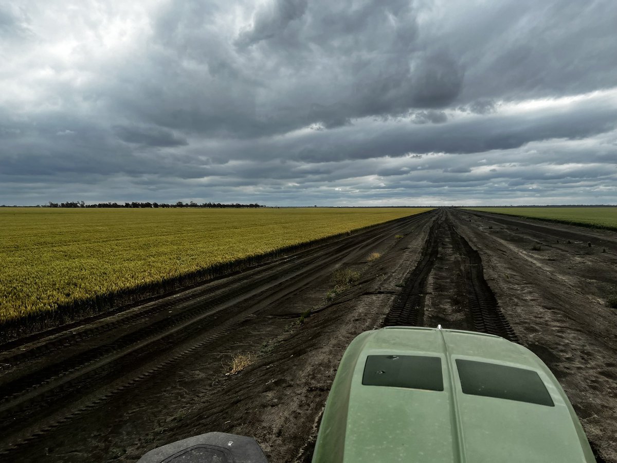 Bernie Jackson tweet media