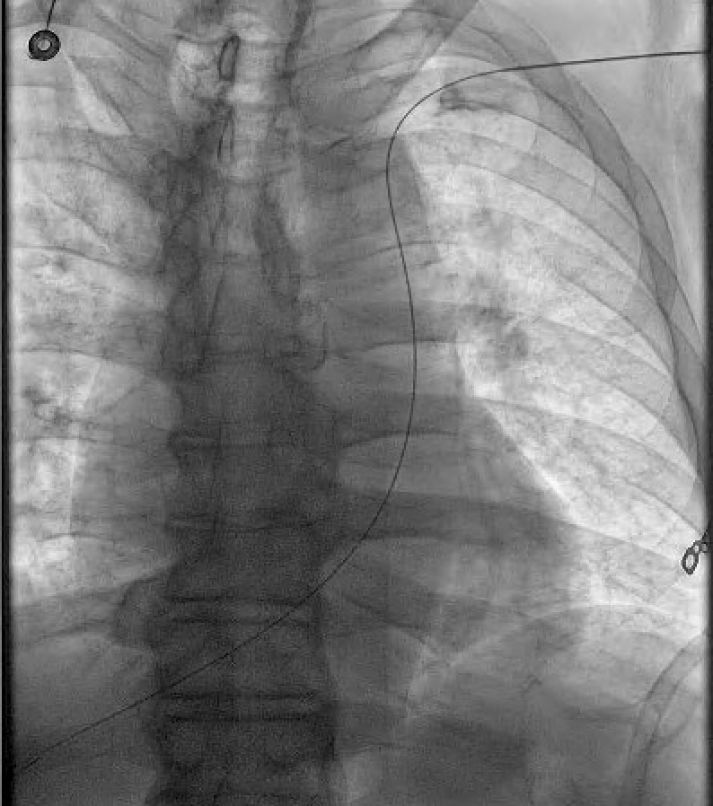 Umair Khalid tweet media