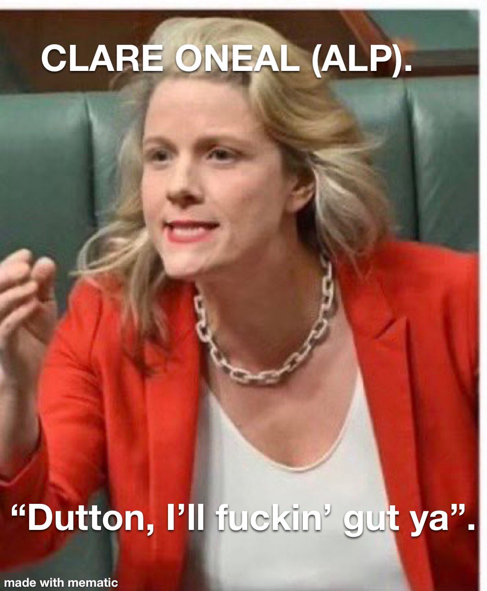What a great few days Peter Dutton has had running the Country while Airbus Albo has been away, and Richard Myles  and Jimbo go missing.
Oh, and Dutton hater Clare O'Neil stuffs up repeatedly.