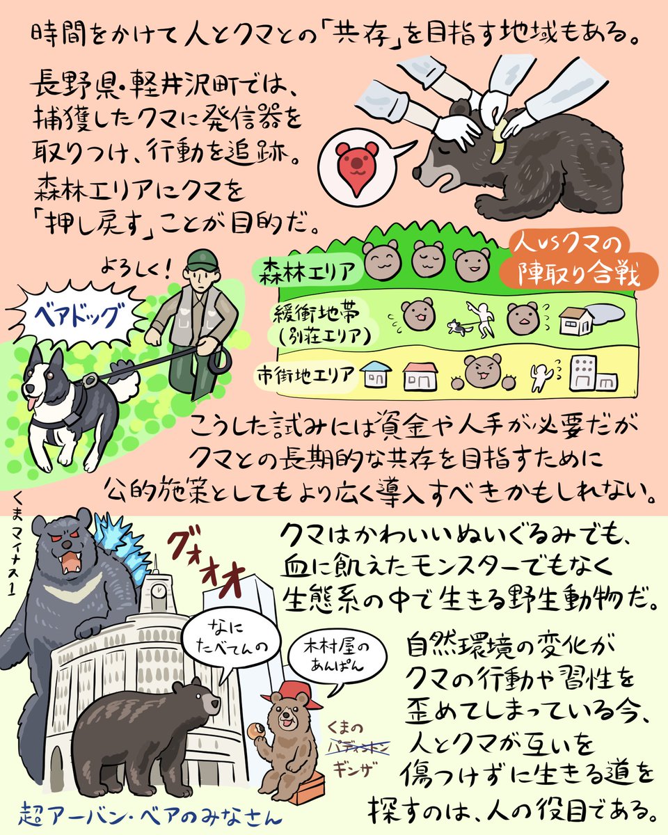 町にやってくる熊々（くまぐま）が世間を騒がせる今、クマに何が起きて