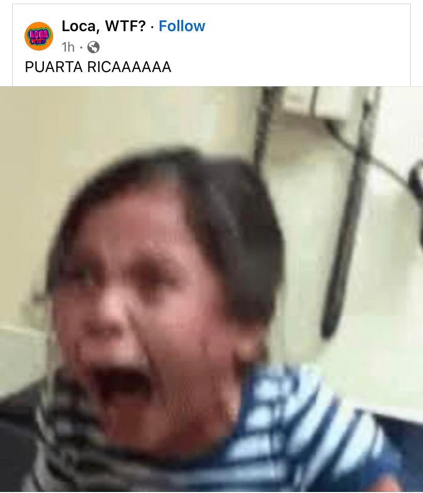 Todos viendo Miss Universe 😹😹