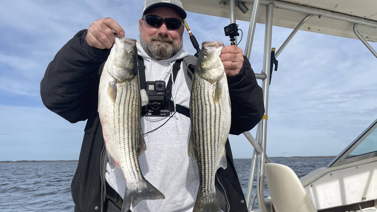 FishyAngler's tweet photo. Yesterday we went to Chesapeake bay to troll for some stripers. The bite wasn’t great, but we landed three fish.
#fishyangler #chesapeakebay #stripedbass #chesapeakebayfishing #fishing #fishinglife #rockfish #stripedbassfishing https://t.co/51wf2tfSJv