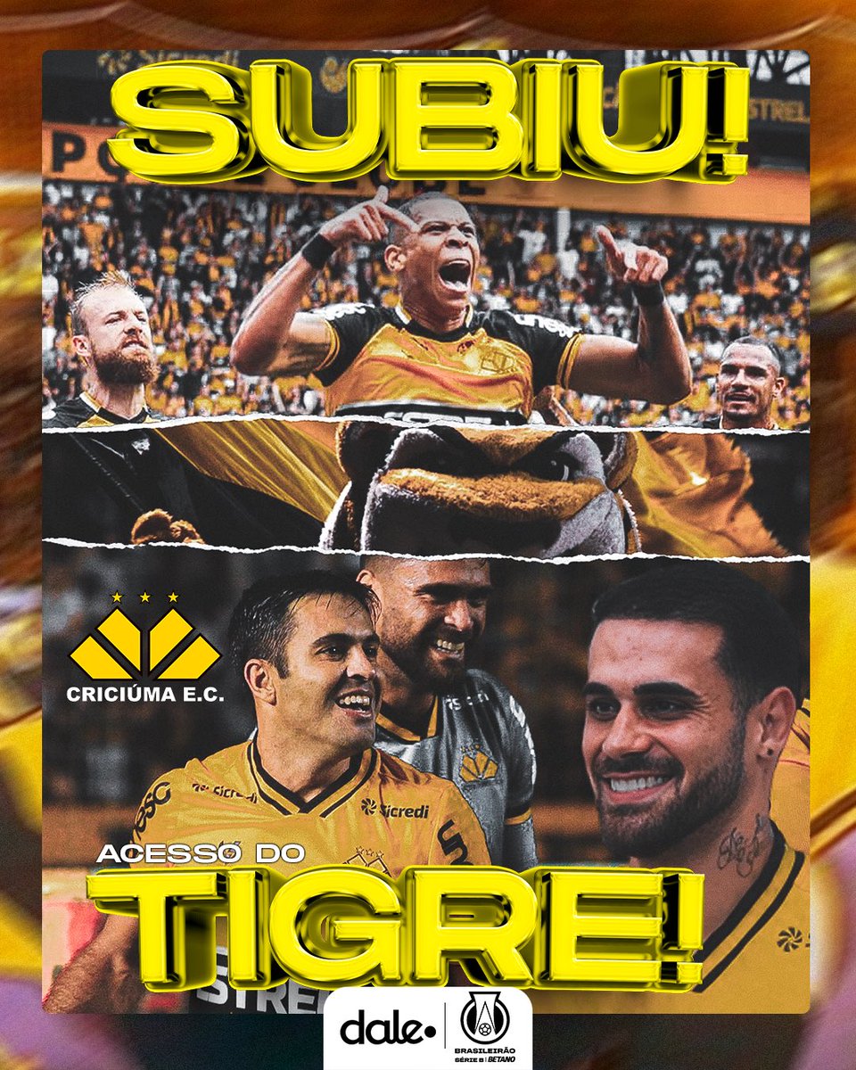 DaleAppBR's tweet photo. Pode comemorar torcedor do Criciúma! O Tigre subiu! 

#Dale
#SerieB https://t.co/jqcXwnTaN1
