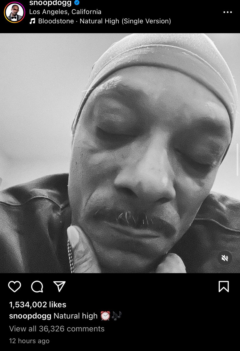 the weed talking to snoop dogg like the green goblin mask