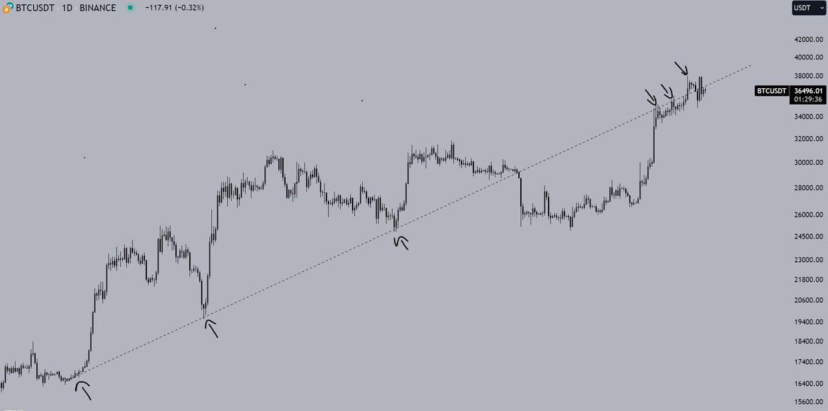 BTC

alternative perspective