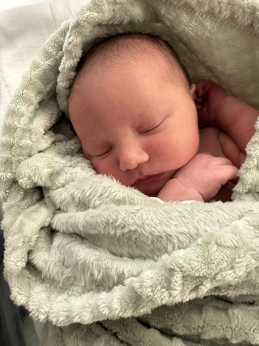 Lacey Groguran ✨ tweet media