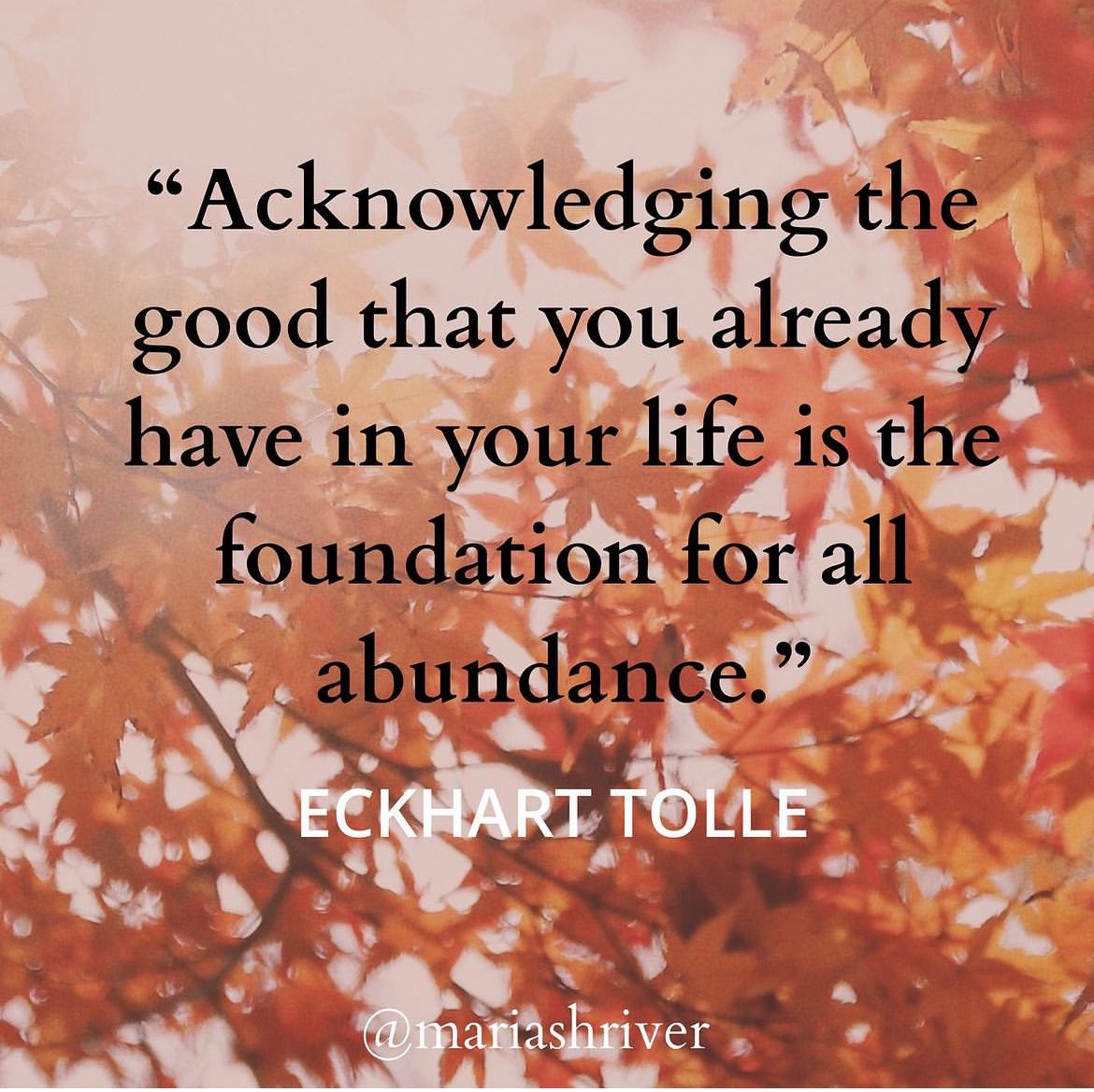 mariashriver's tweet photo. As we head into Thanksgiving, let us start by acknowledging what we are grateful for, what fills us up, what brings us joy. What makes you smile? What makes you feel happy and fulfilled? What gets you out of bed in the morning and keeps you going all day?
#inspireheartsandminds https://t.co/g7oeraVC0T
