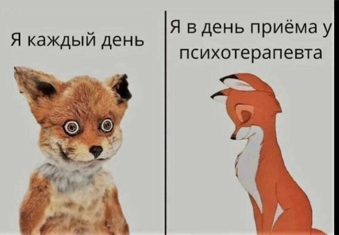 На приёме