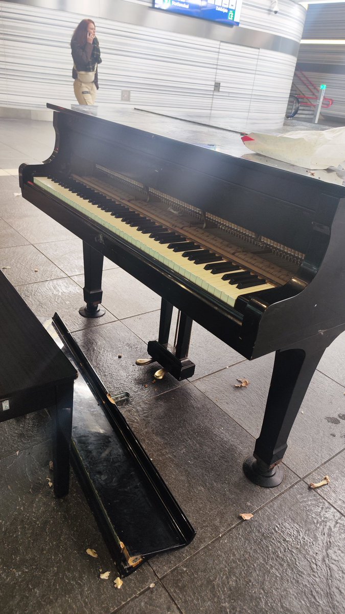 GrangerTheDog tweet media