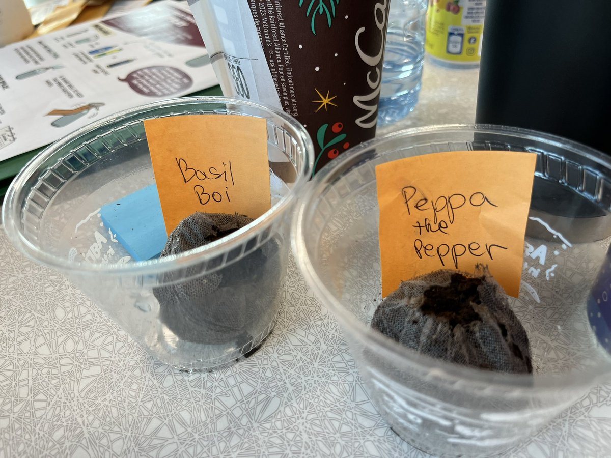 Div 2 teachers spent today learning about our incoming classroom gardens from <a href="/littlegrnthumbs/">Little Green Thumbs</a>, so we can get started on growing veggies with our students and learning together! SO excited for this journey! <a href="/DHSMinia/">Mr. Minia</a> <a href="/DHSDhillon/">Avieneet Dhillon</a> <a href="/insideeducation/">Inside Education</a>
