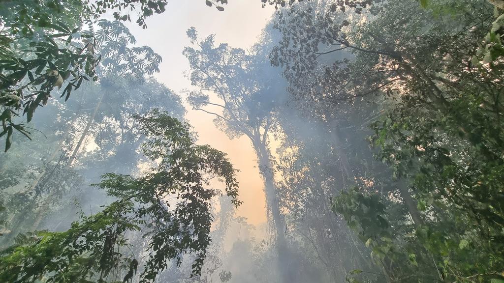 Mais um dia. Mais fogo. Mais fumaça. O sudeste cozinhando e a Amazônia queimando.