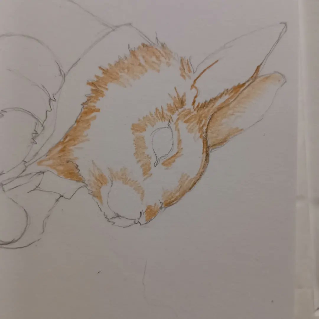 DoubbleLouise's tweet photo. Rabbit illustration for some digital downloads coming soon. Based on #yogamill lovely, house rabbit! #VoodooMouseDesigns #rabbit #illustration #pencildrawing #watercolor #artistsoninstagram #taxidermyart #taxidermylife #design #workinprogress #art #animaldrawing #anthropomorphic https://t.co/z56yeCXTzd
