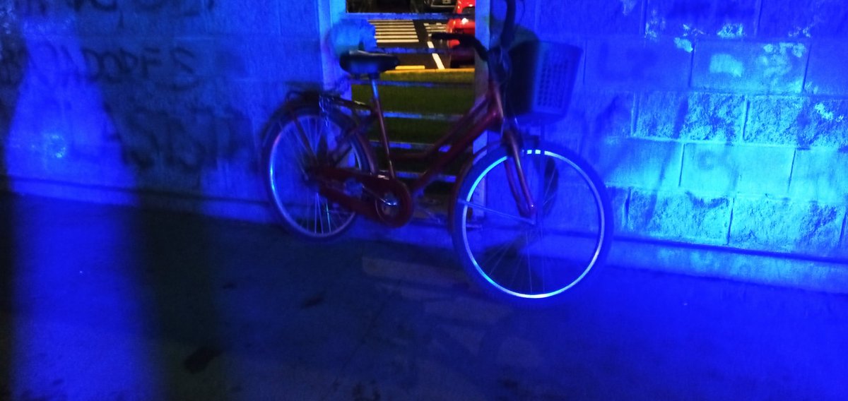 NiatoLeproso's tweet photo. Actua normal...
Siempre fashion, nunca infashion(?
#LaColo
@BiciBandido
@Gaby_bike
@bicienfermera
@bicicareta
@bicivilizados https://t.co/AsrVv80BLb