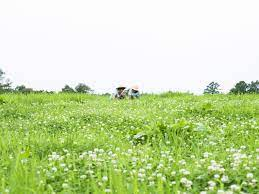 Lisa (@ball_asksybwhww) on Twitter photo 