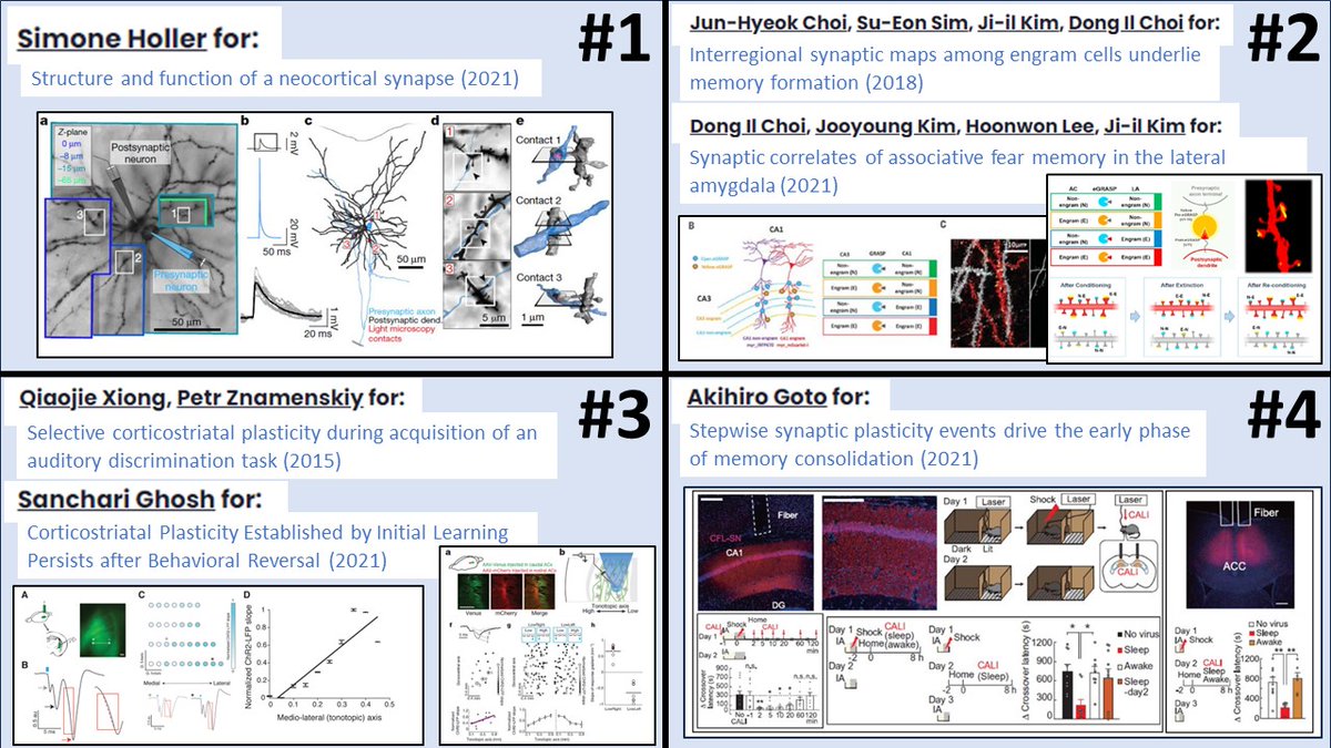 Thank you to everyone who came to our SfN “Long-term Memory Encoding and Connectome Decoding Meetup”. Please join us in congratulating our 2023 Aspirational Neuroscience Award winners who were announced at that event.  Join our journal club: aspirationalneuroscience.org