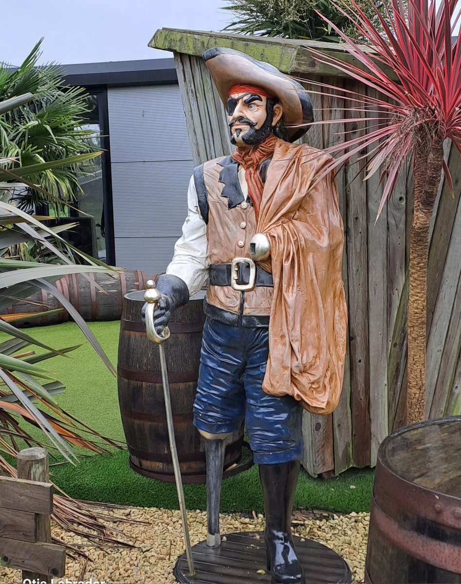 Valkyrie Wilderness Workshops tweet media