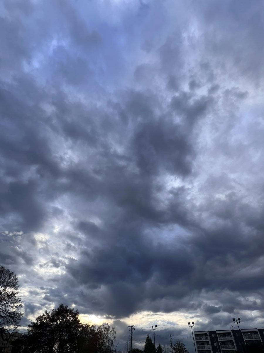 armelcastellan's tweet photo. #CloudAnimals in the meso low nebulous mood ahead of the full frontal wave tonight. 2am HRRR sfc wind output looking the dragon’s fire-y breath part! #BCWx #bcwind https://t.co/IqpZjta45j