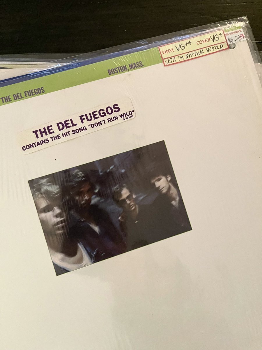 Steve Taylor Witte tweet media