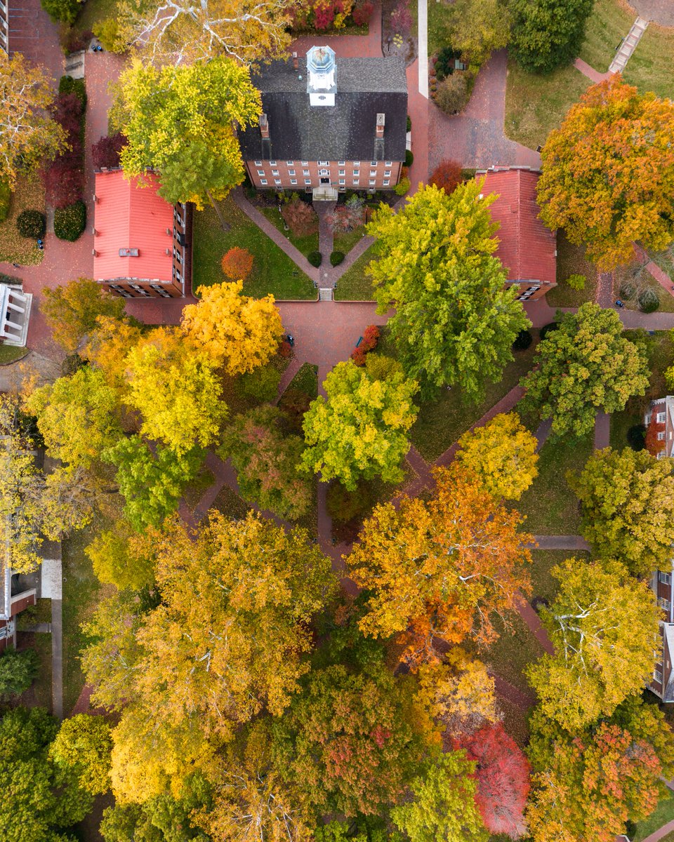 Ohio University tweet media