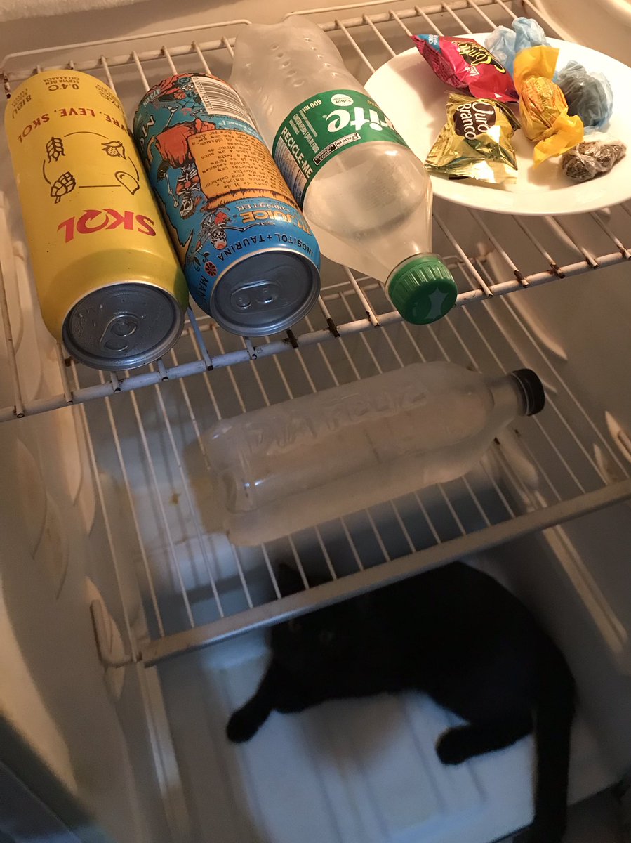 pode ficar a vontade na geladeira tem cerveja energético refri água bombom maconha e um gato