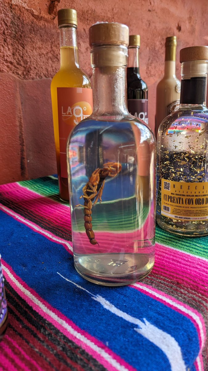 SDPhotos22's tweet photo. #Mexico #Tequila #Scorpion #happyroom #Travel #beautiful #PhotographyIsArt https://t.co/T8mGziALam
