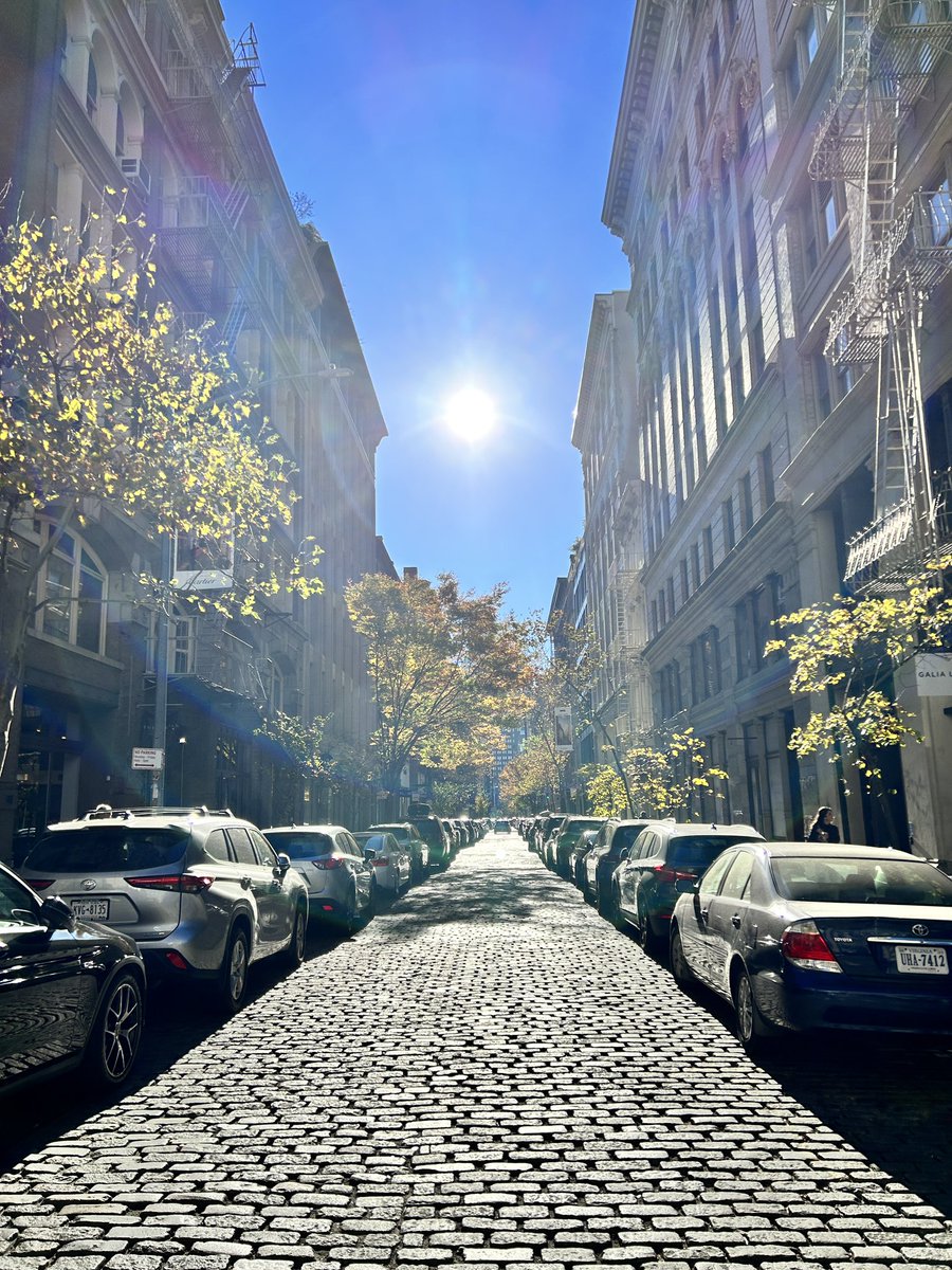 aatzberger's tweet photo. Gorgeous NYC in the Fall 🍁🍂

#nofilter #NYC https://t.co/UrZn6SpWCc