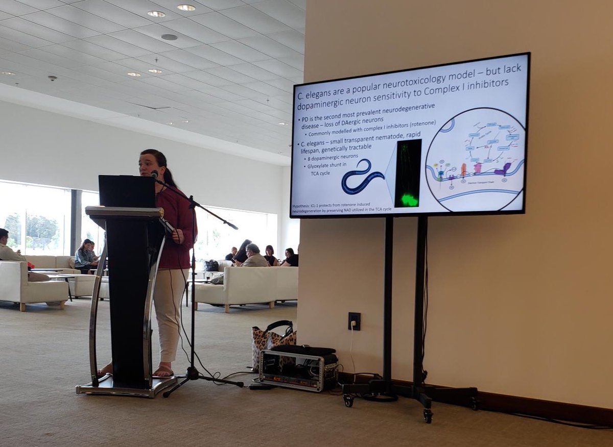 Shocked but honored to recieve a Young Investigator Award tonight at @SFRBM 🥹 massive thank you to everyone who stopped by my poster and lightening talk, and for the amazing feedback ❤️