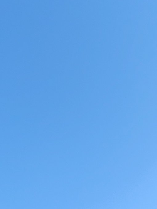 Twitterのコスプレ画像14