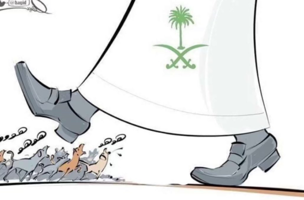saudipopular's tweet photo. صورة نختم فيها يومنا 🤍 https://t.co/Id8EcJ18nW