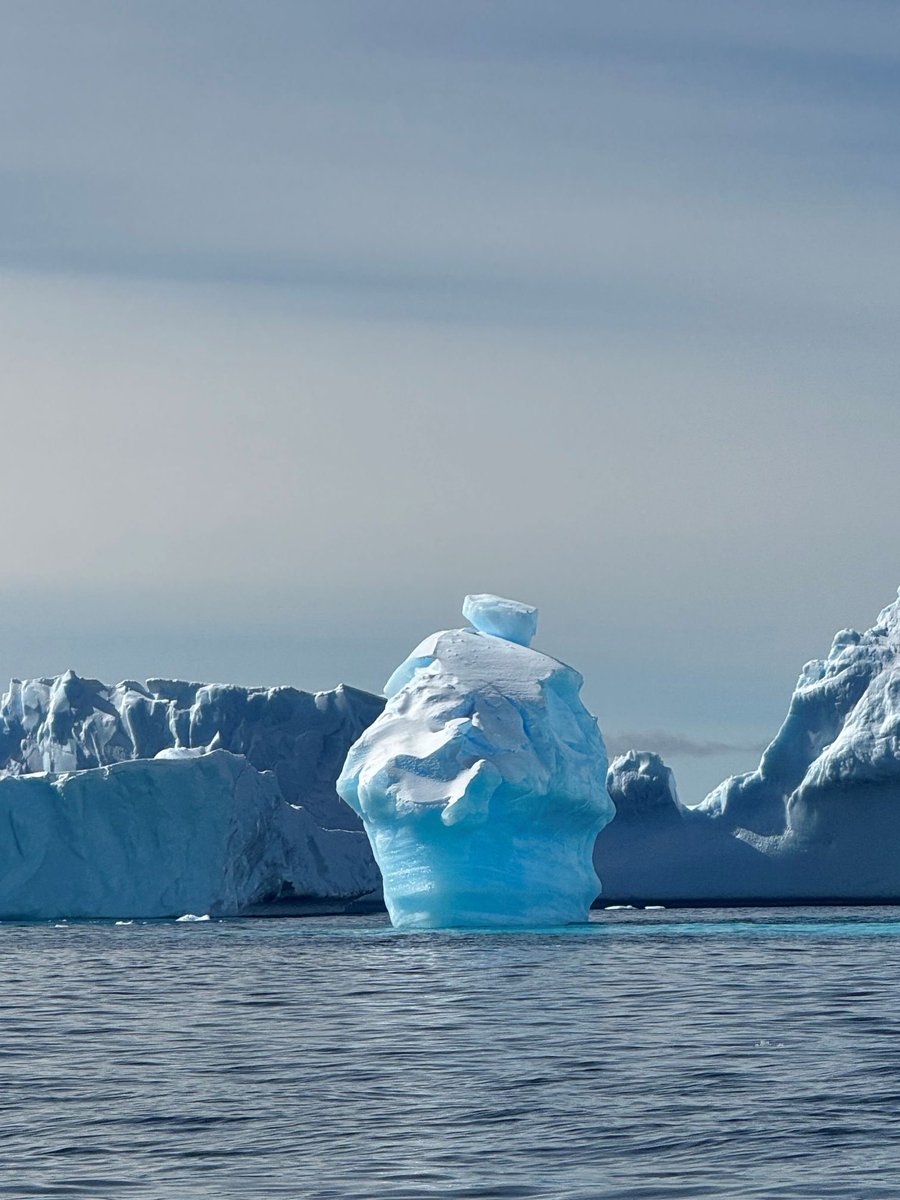 Inspiration comes from all around… Team #HBUshuaia today are co-designing our cupcake strategies before we build out the next tier of our larger leadership visions to share with the world. #strategy #icebergs #cupcake #MVP  #Ushuaia2023