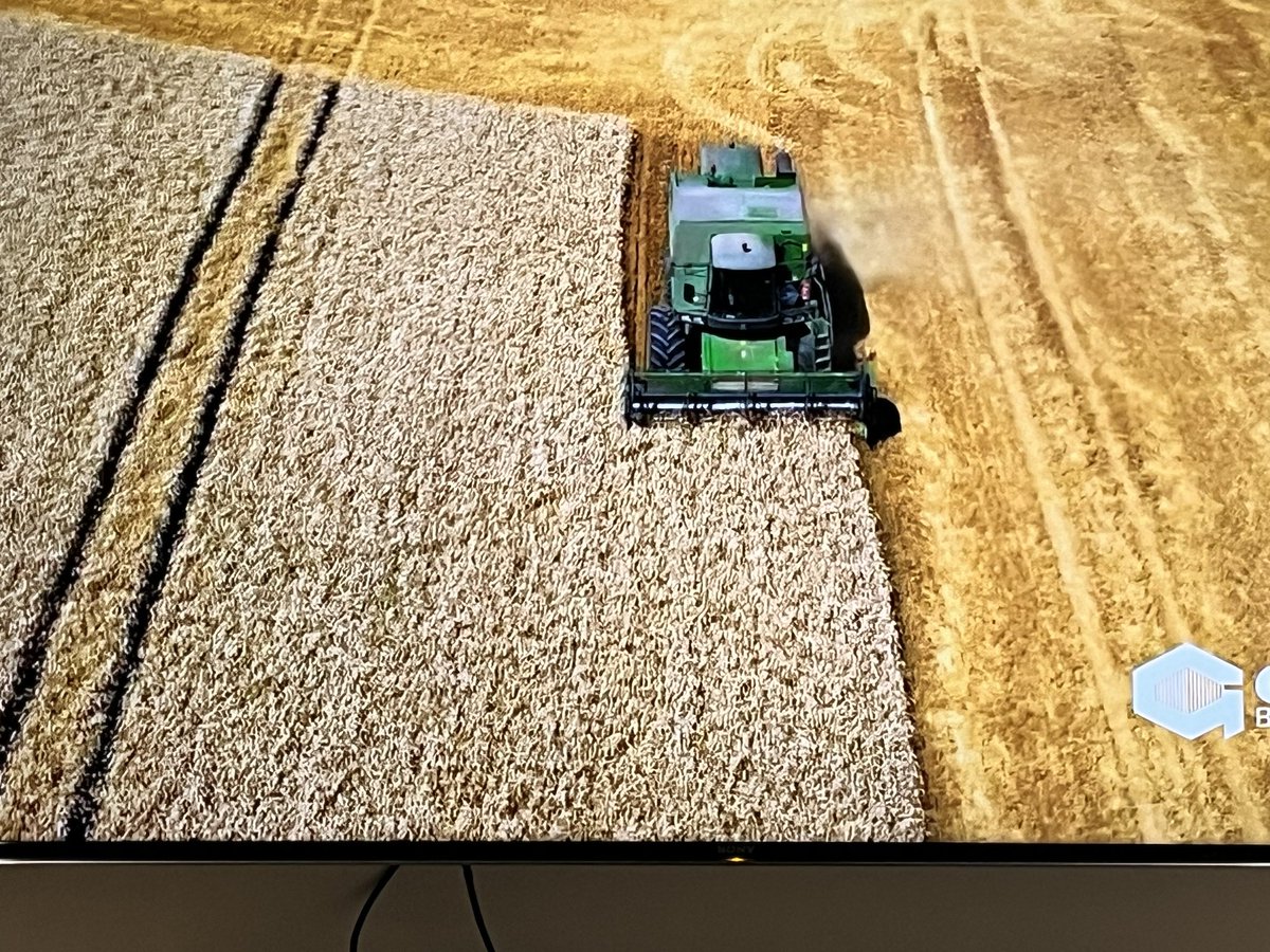 Adam Spelhaug tweet media