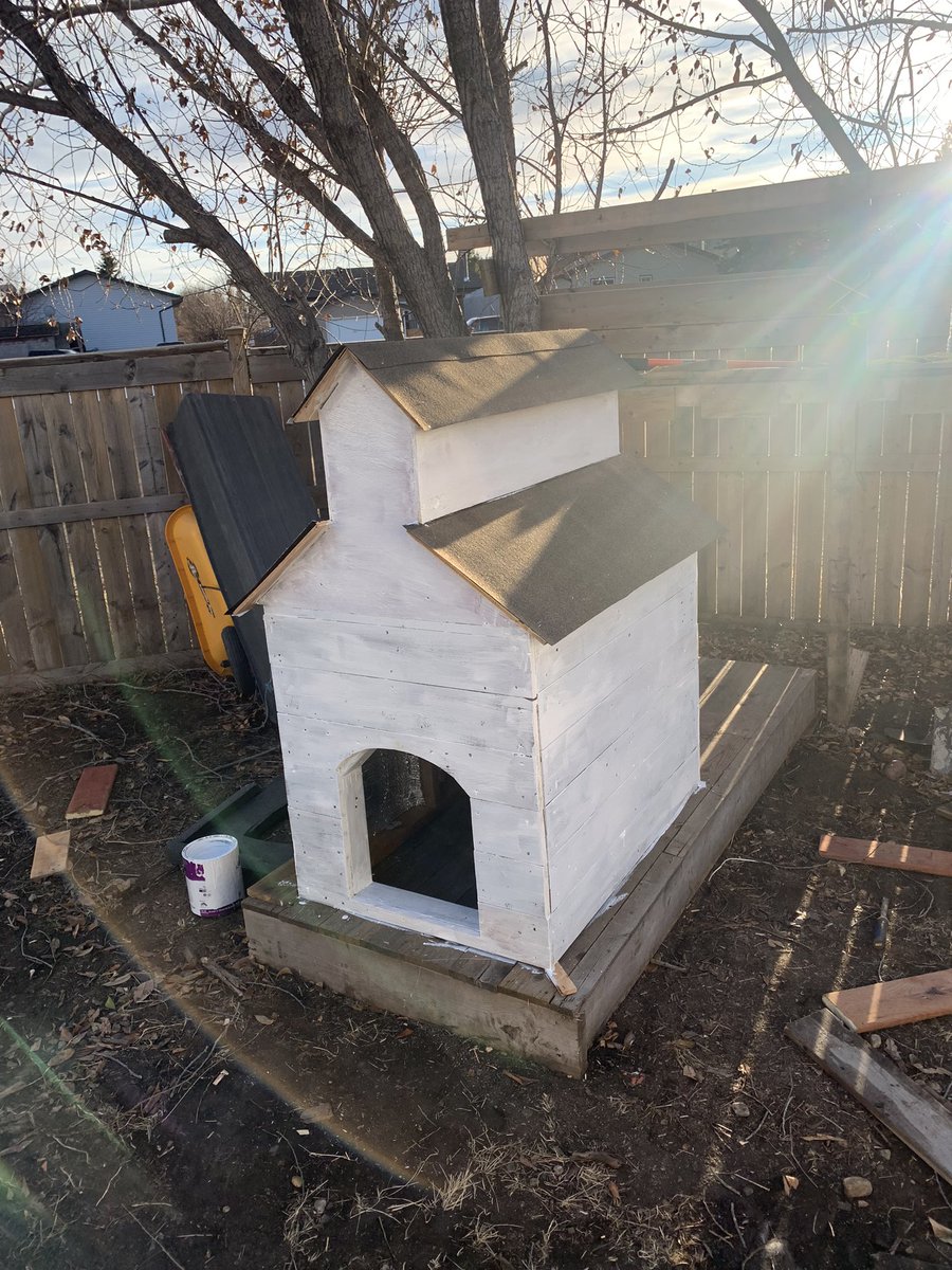 My dog, Yeti, is very proud of her new dog house🐕👍 #SundreAlberta