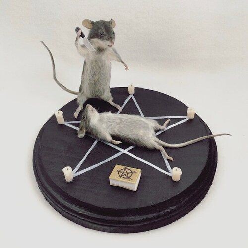 When the schitzophrenia starts acting up again

-🐭