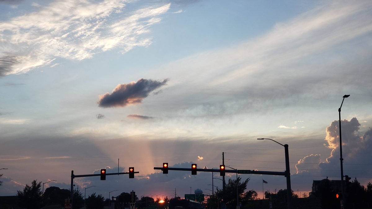 kidney Study tweet media