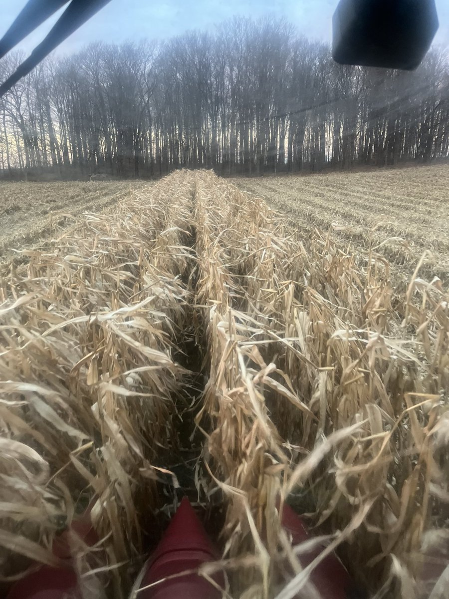 @derehamsheep @PremierEquip1 The last rows always feel good!