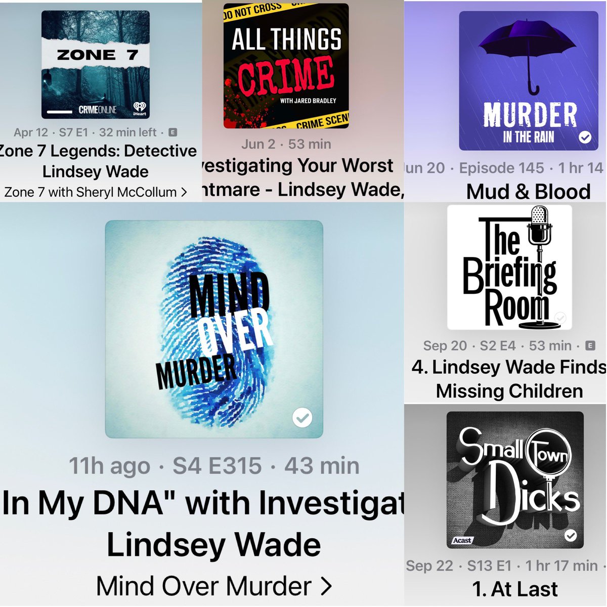 It’s been a busy year promoting my new #truecrime #memoir #InMyDNA! I had the pleasure of being a guest on these fantastic podcasts🎙️🎧🕵🏽‍♀️ @149Zone7 @ThingsCrime @murderintherain @SmallTownDicks @MurderOver 
Take a listen😊